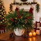 Christmas Enchanted Evergreen Pine