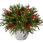 Christmas Enchanted Evergreen Pine