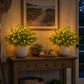 Christmas Enchanted Evergreen Pine