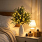 Christmas Enchanted Evergreen Pine