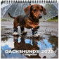 2027 Funny Wall Calendar