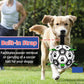 Dog Soccer Ball Toys