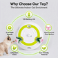 Whack A Mole Cat Mouse Toy for Cats