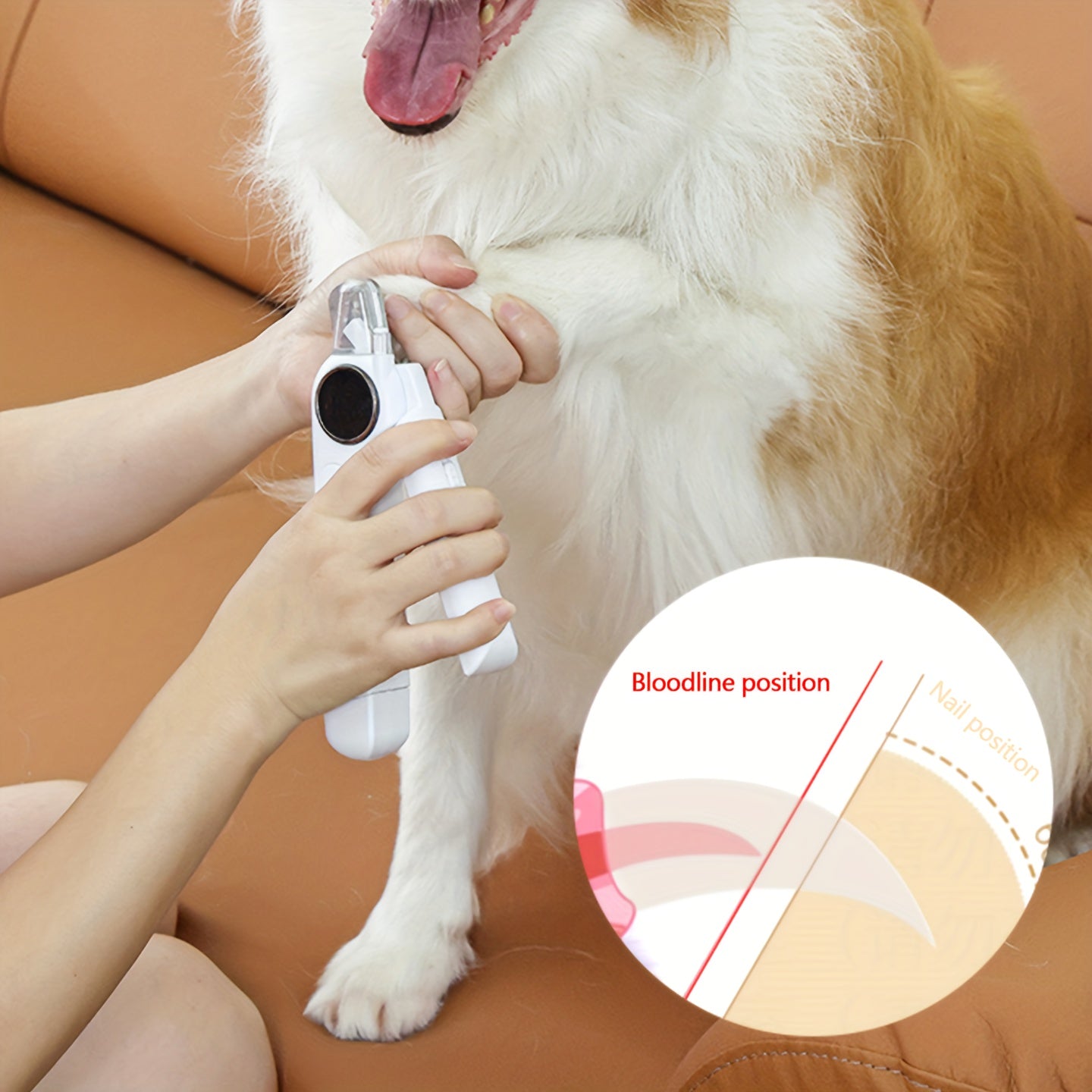 2-in-1 Pet Nail Clippers & Grinder with Light