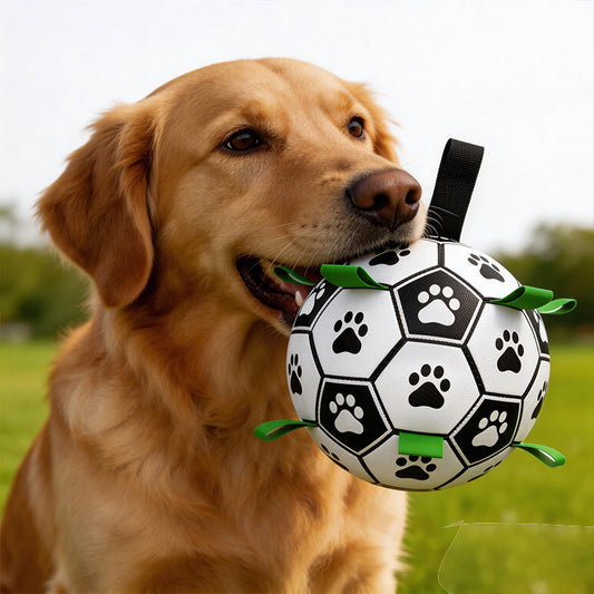 Dog Soccer Ball Toys
