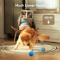 Smart Interactive Dog Balls