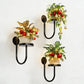 Wall-Mounted Modern Plant Pot Holders