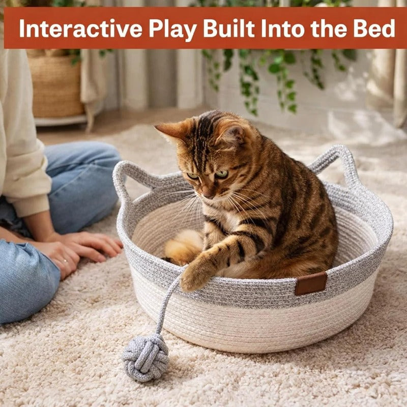 3-in-1 Cat Sleep Scratch Play Basket