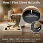 Solid Wood Maze Cat Educational Toy Box