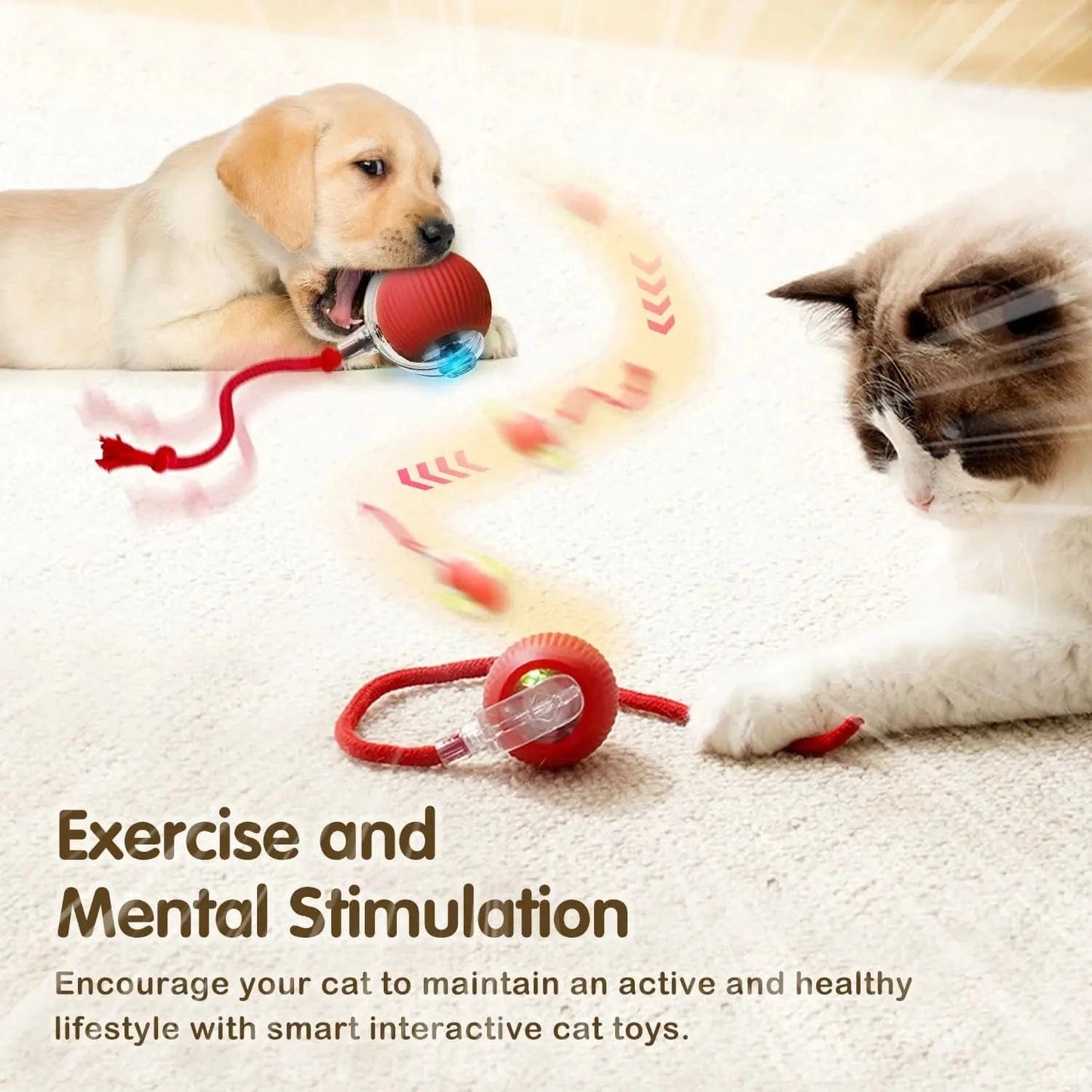Rechargeable Smart Rolling Cat Ball